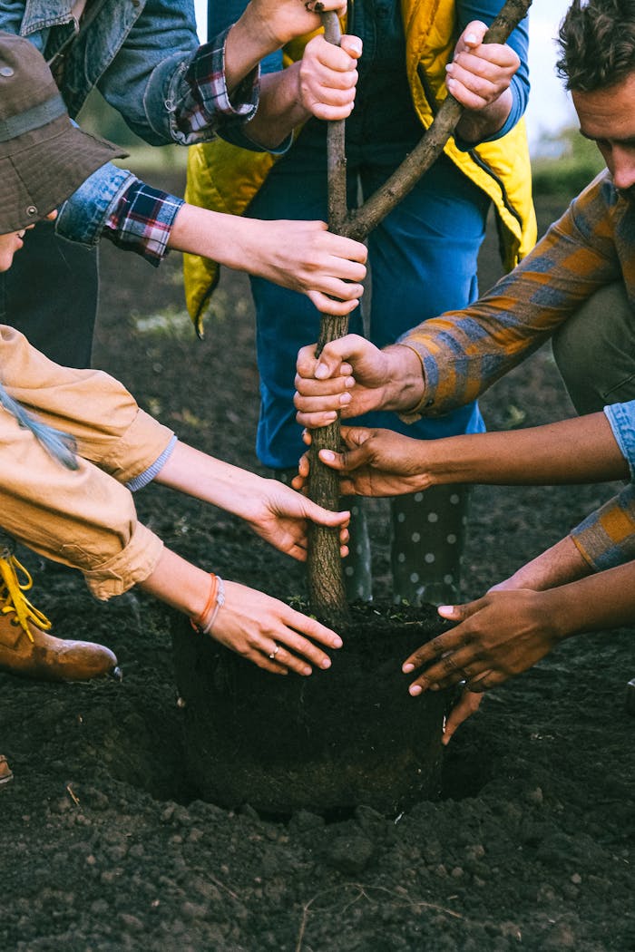A diverse group working together to plant a tree, symbolizing teamwork and sustainability.